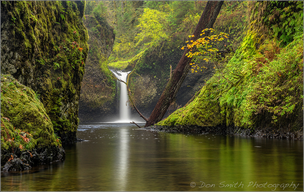 Canon EF 24-70mm F2.8L II USM sample photo. Punchbowl falls photography
