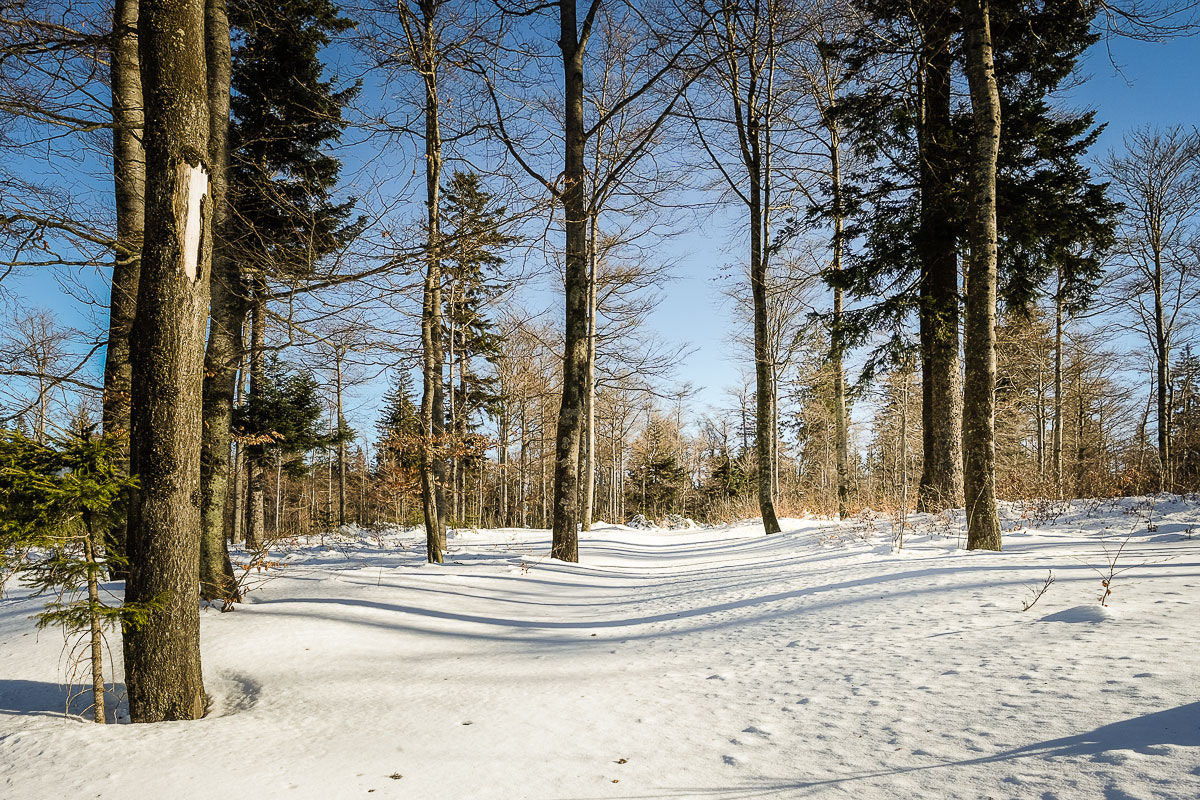 Fujifilm XF 14mm F2.8 R sample photo. Bavaria photography