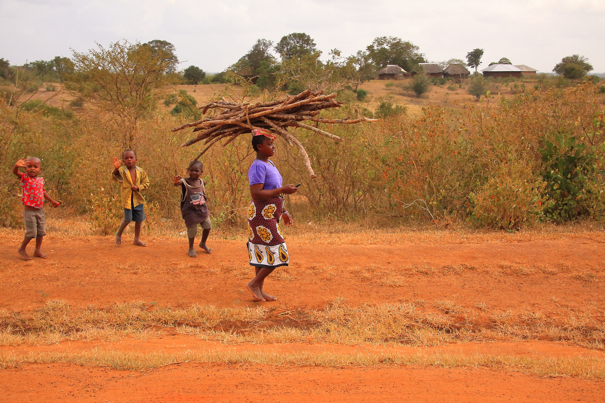 Canon EOS 50D + Sigma 18-125mm F3.8-5.6 DC OS HSM sample photo. Kenia wood and cell photography