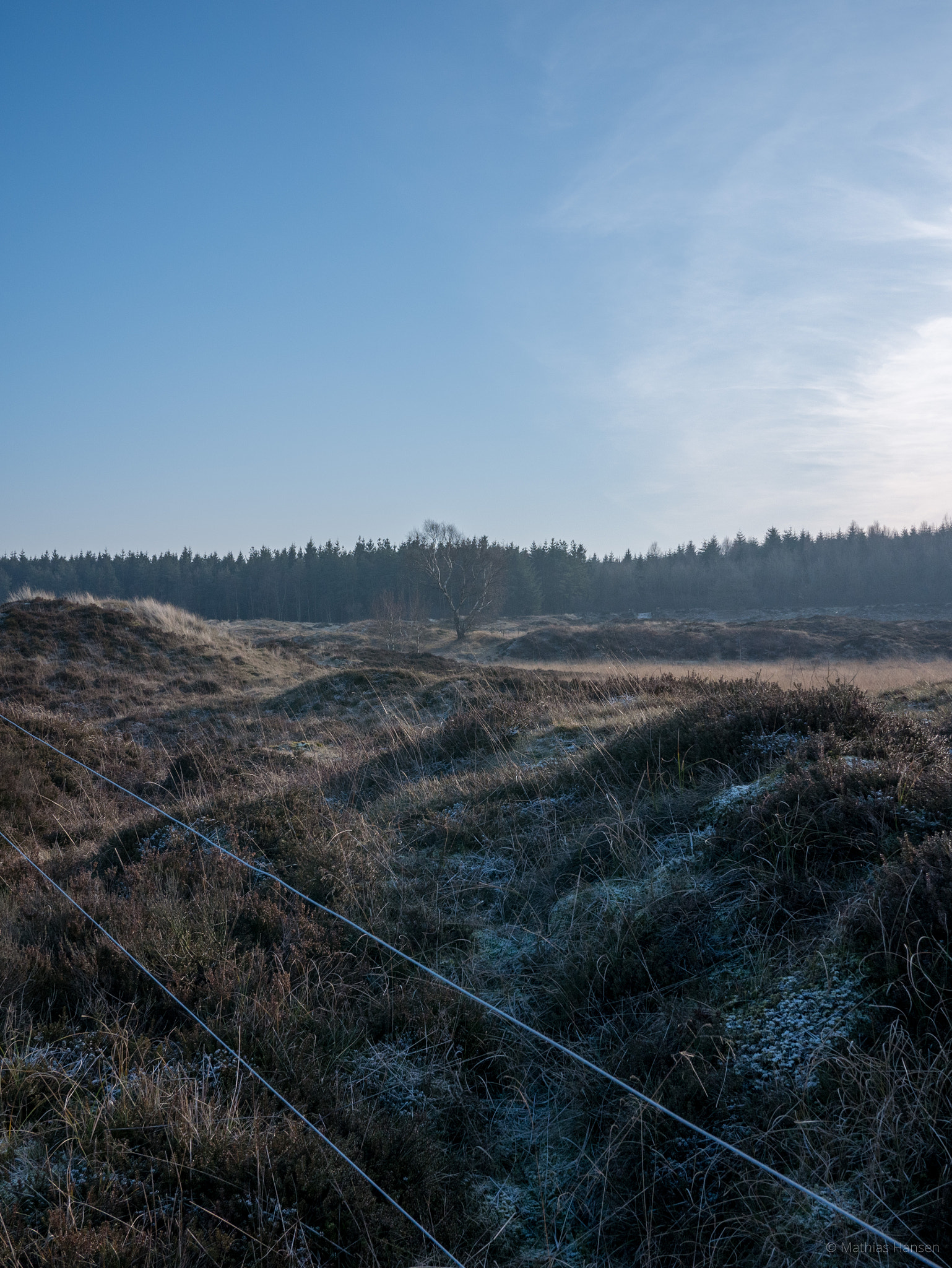 LUMIX G 20/F1.7 II sample photo. Enderupskov photography