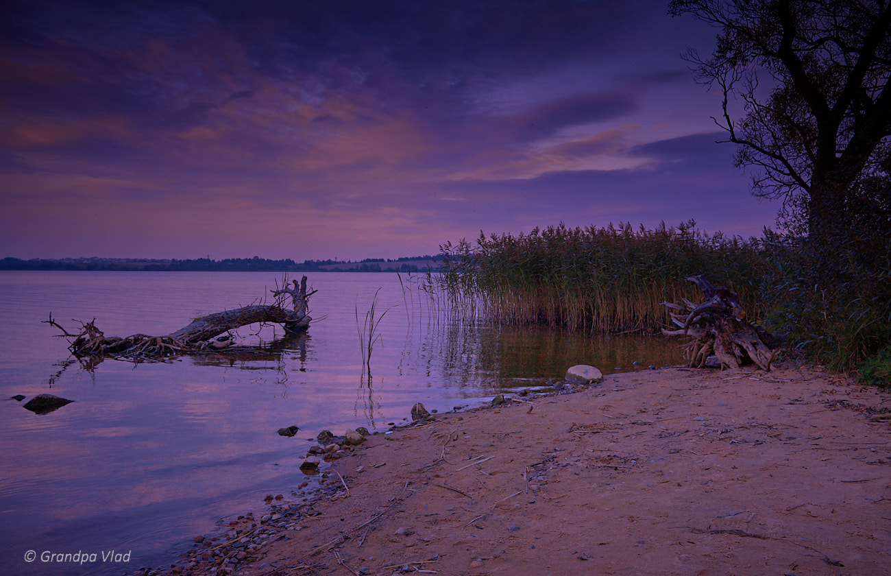 Canon EOS 1100D (EOS Rebel T3 / EOS Kiss X50) sample photo. Lake monsters... photography