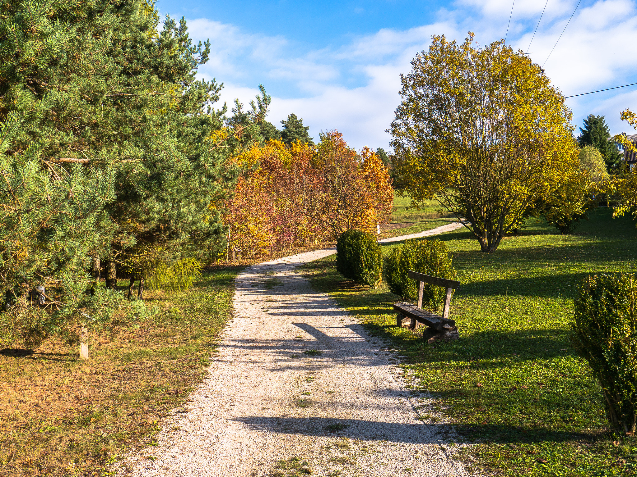 Panasonic Lumix DMC-G5 sample photo. Waldpark im herbst photography
