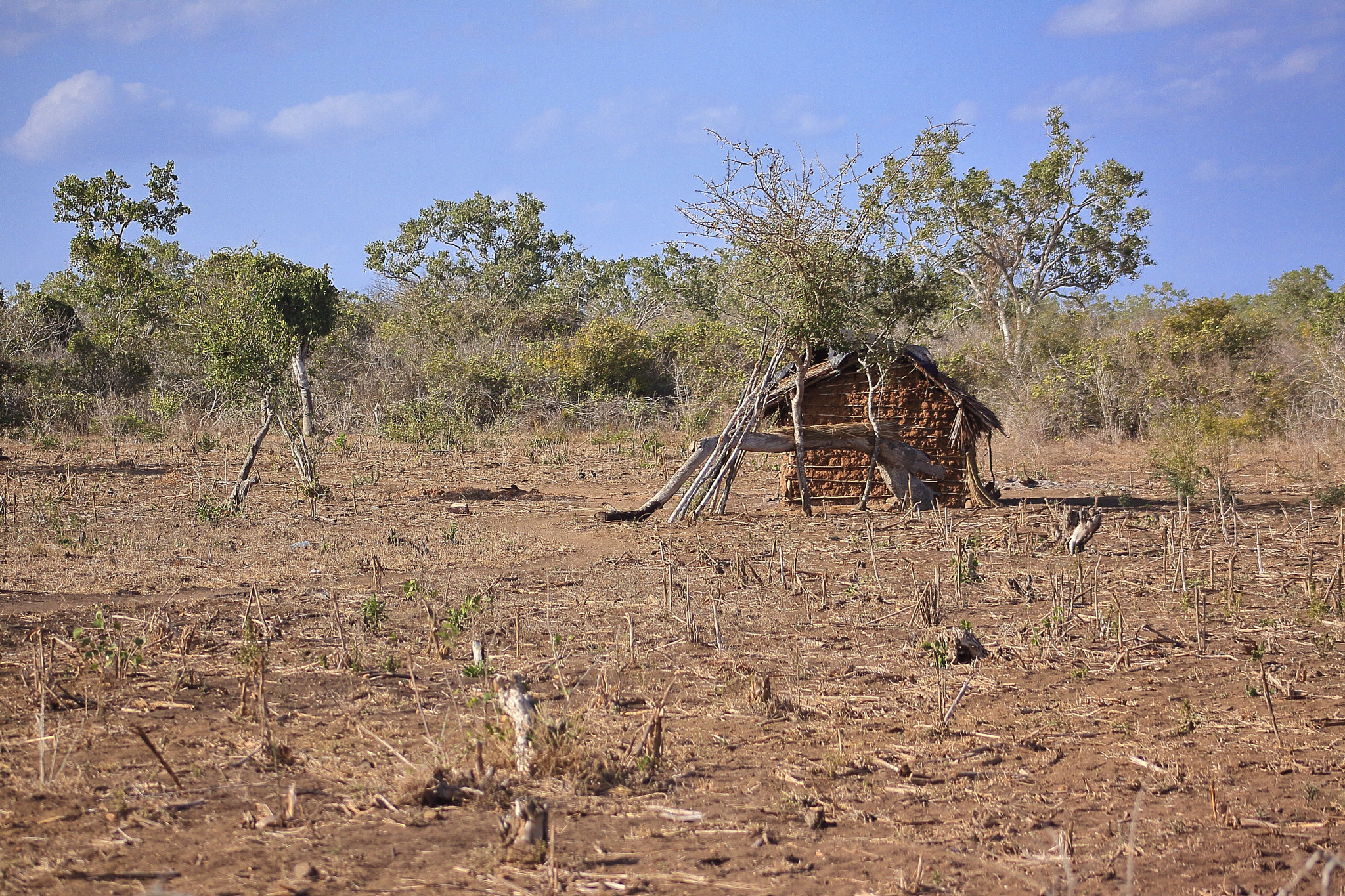 Canon EOS 50D + EF75-300mm f/4-5.6 sample photo. Kenia shack and nothing other photography