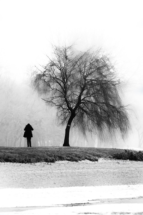 Nikon D300 sample photo. Alone, but not lonely photography