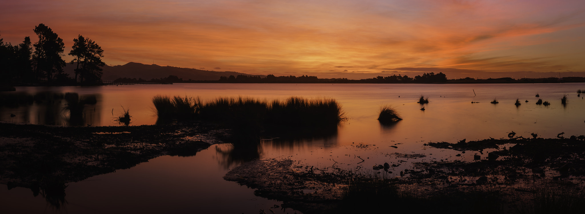 Sony a99 II + Tamron SP 24-70mm F2.8 Di VC USD sample photo. Estuary surprise photography