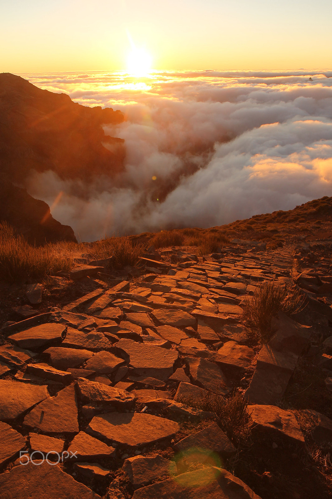 Canon EF-S 17-55mm F2.8 IS USM sample photo. Madeira island - portugal photography