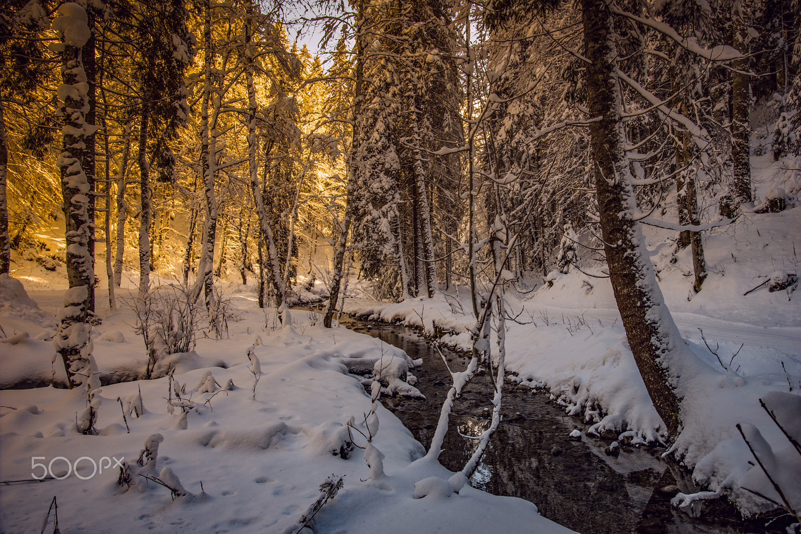 Sony ILCA-77M2 sample photo. Winterday photography