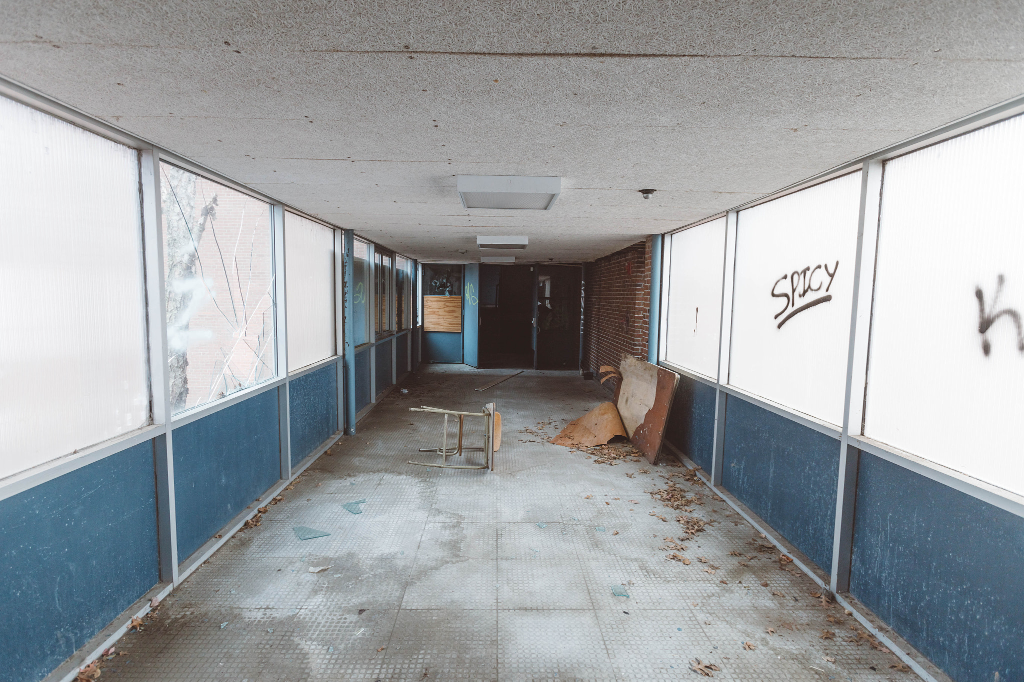 Canon EF 16-35mm F2.8L USM sample photo. Mg photography