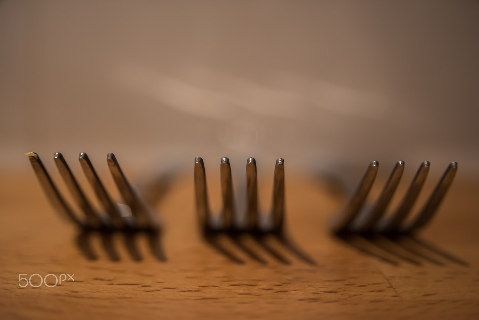 AF Zoom-Nikkor 28-105mm f/3.5-4.5D IF sample photo. Three forks photography