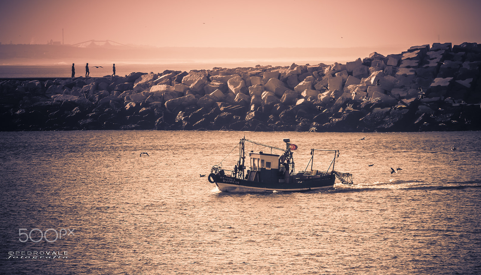 Nikon D5500 sample photo. Figueira da foz photography