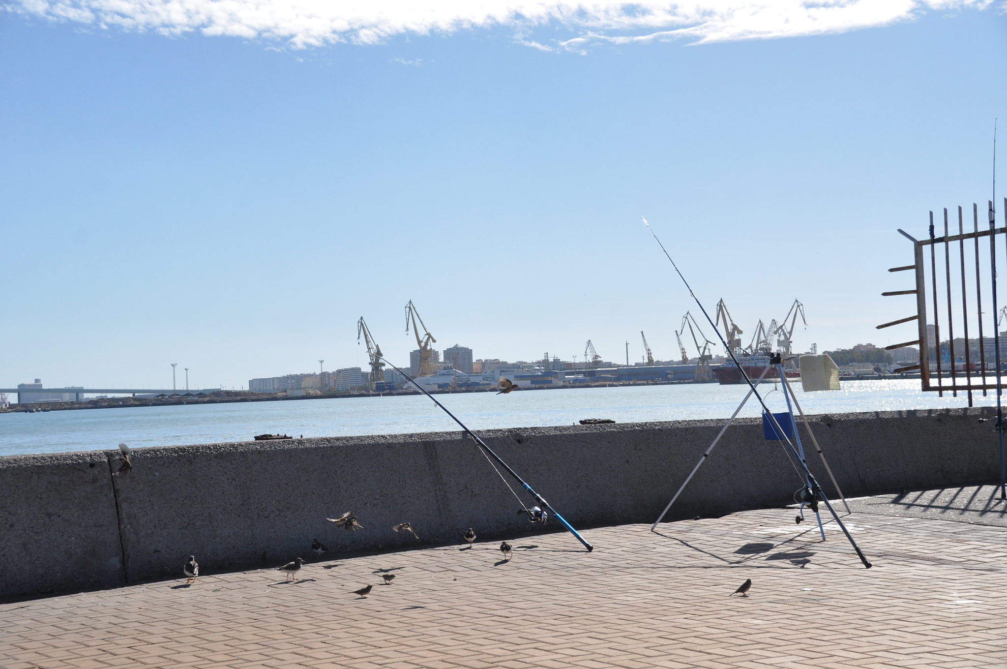 Sigma 18-200mm F3.5-6.3 II DC OS HSM sample photo. Revoloteando photography