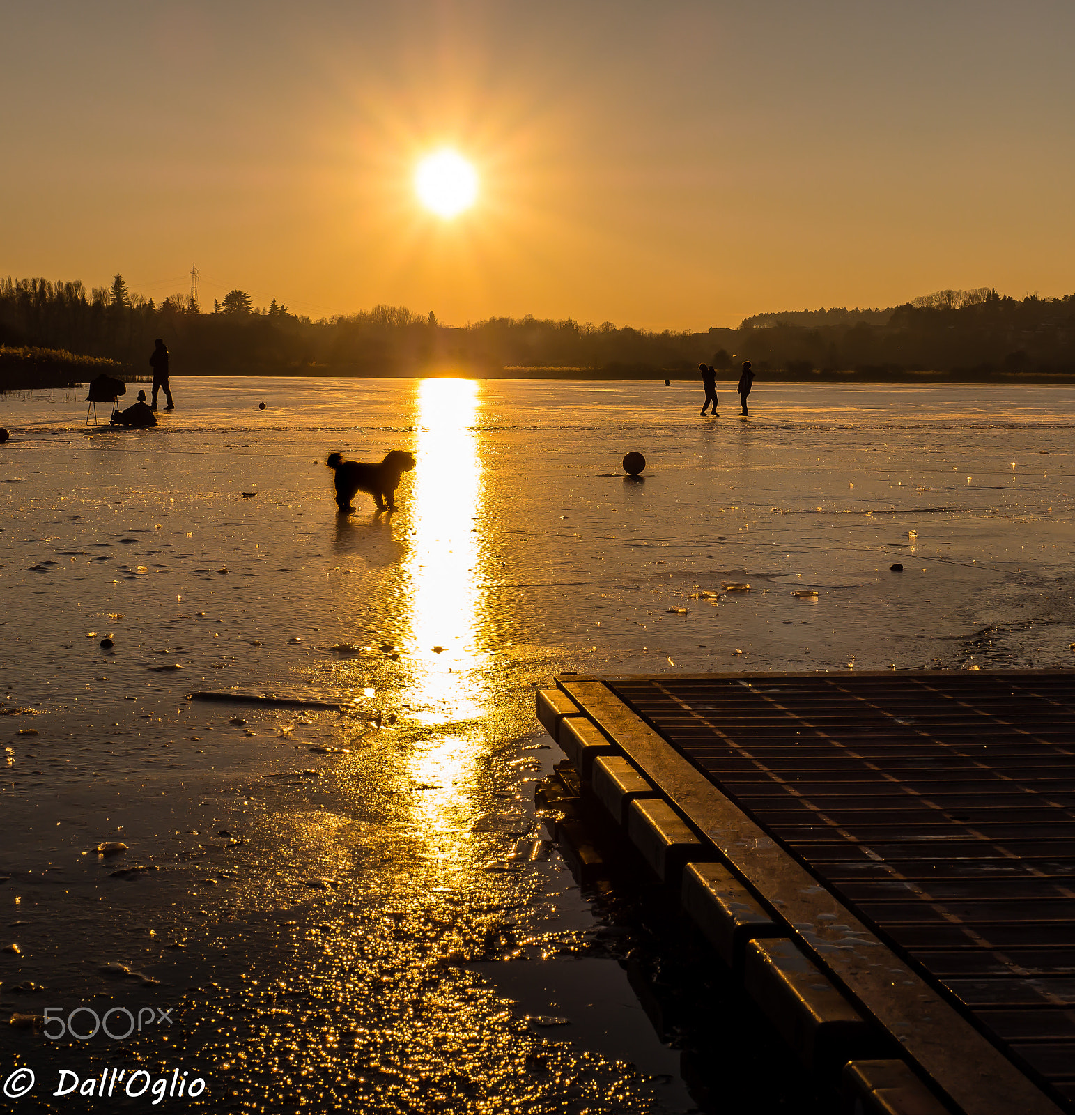 Olympus OM-D E-M10 II + Olympus M.Zuiko Digital ED 12-40mm F2.8 Pro sample photo. Dog on the ice photography