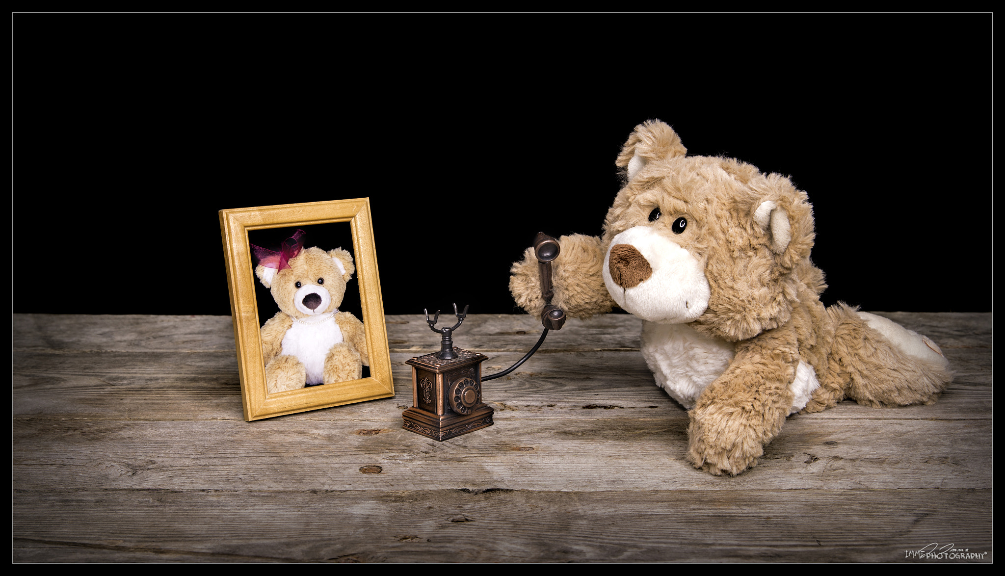 Canon EF 24-70mm F2.8L II USM sample photo. Love call photography