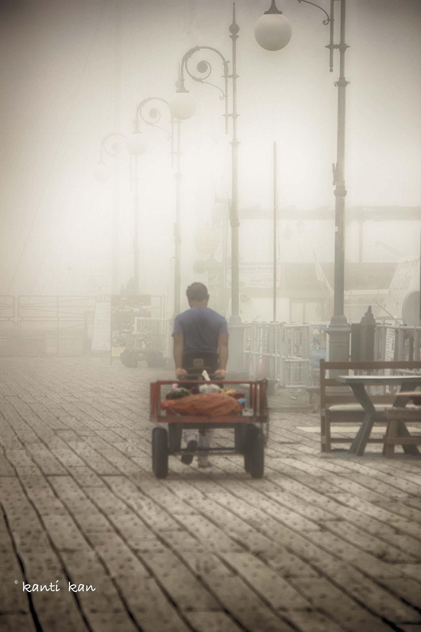 Canon EOS 550D (EOS Rebel T2i / EOS Kiss X4) sample photo. Walking in the mist photography