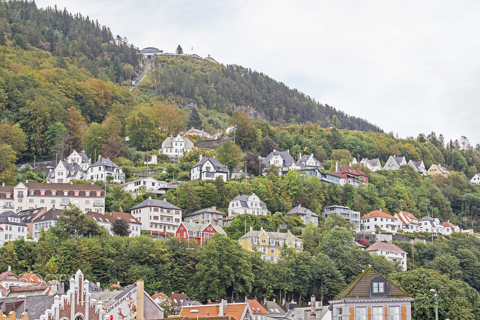 Nikon D610 + Tamron SP 90mm F2.8 Di VC USD 1:1 Macro (F004) sample photo. Colorful landscape of norway, bergen photography