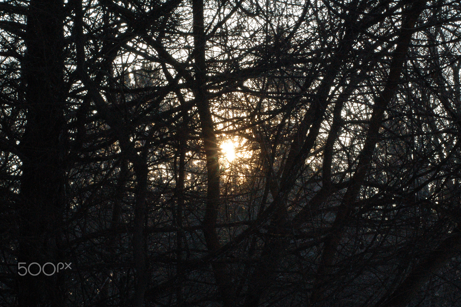 AF Zoom-Nikkor 35-70mm f/3.3-4.5 sample photo. Shimmering sun photography