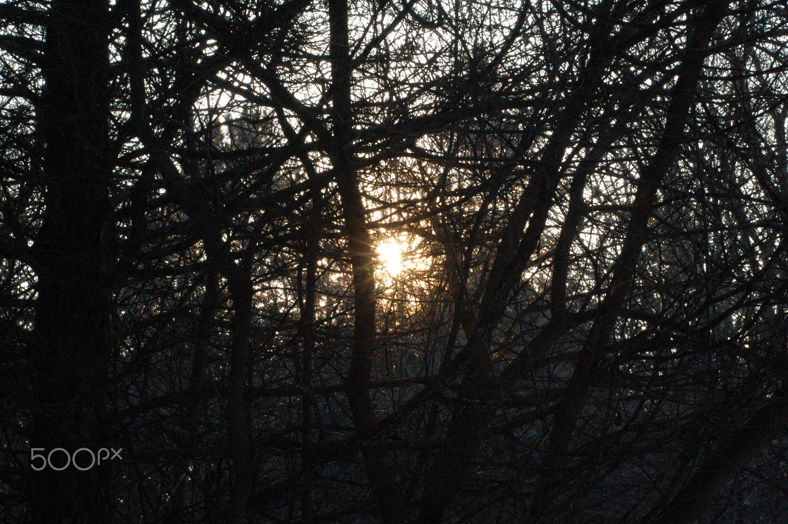 Nikon D50 sample photo. Shimmering sun photography