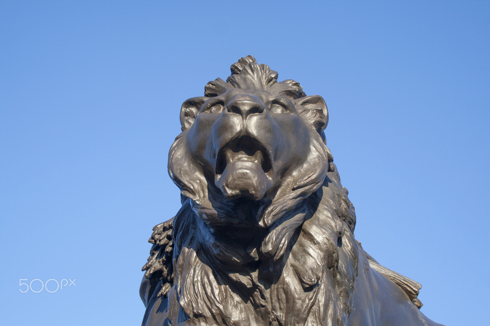 Canon EOS 400D (EOS Digital Rebel XTi / EOS Kiss Digital X) sample photo. Bronze lion photography