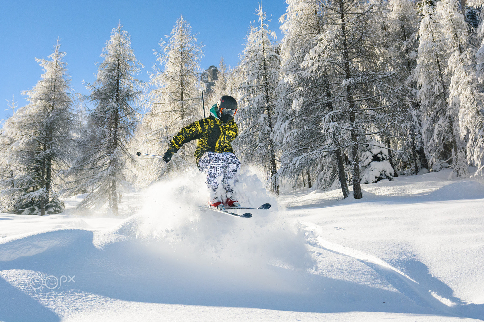 Sigma 17-70mm F2.8-4 DC Macro OS HSM | C sample photo. Freeride photography