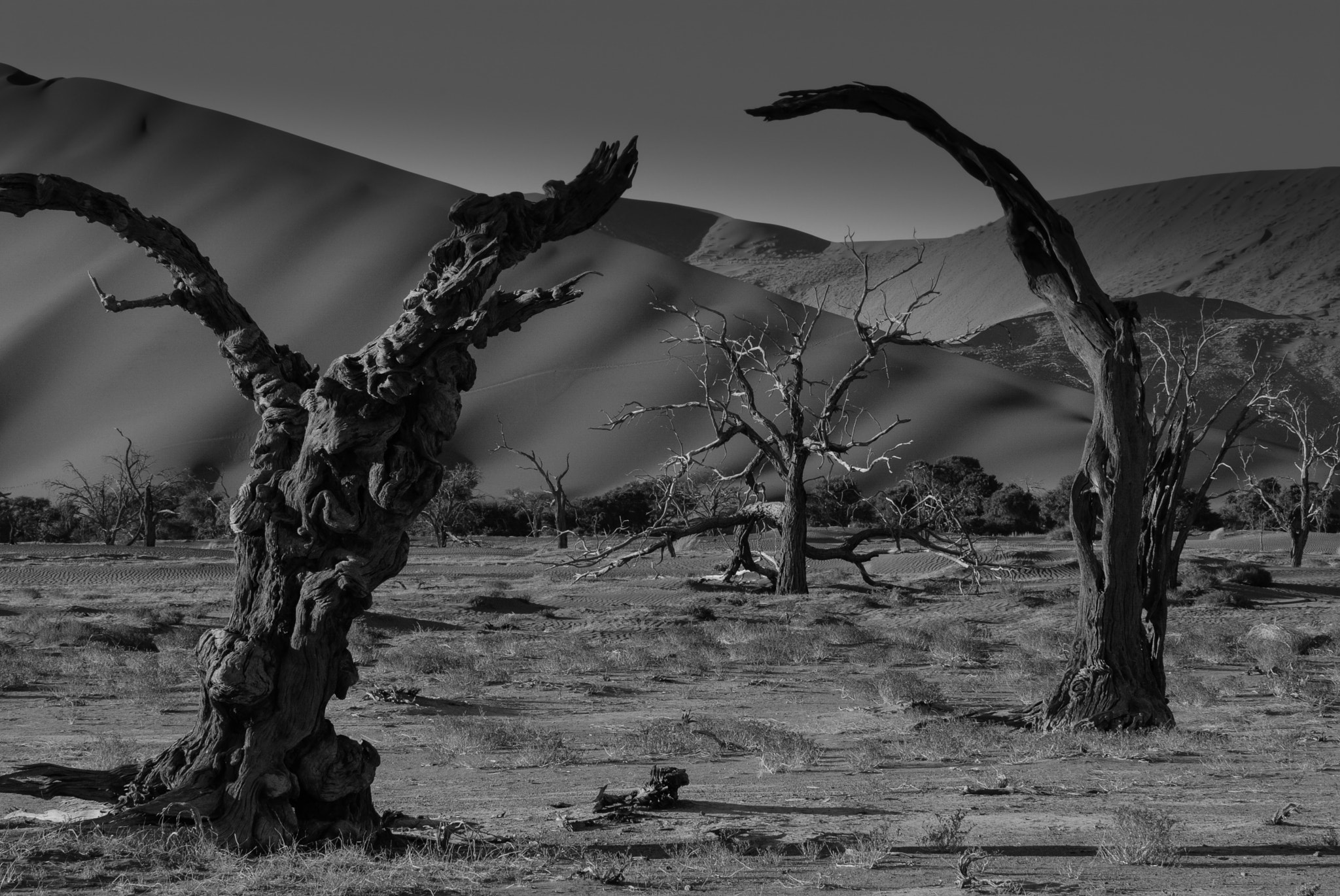 Nikon D200 sample photo. Surreal desert photography