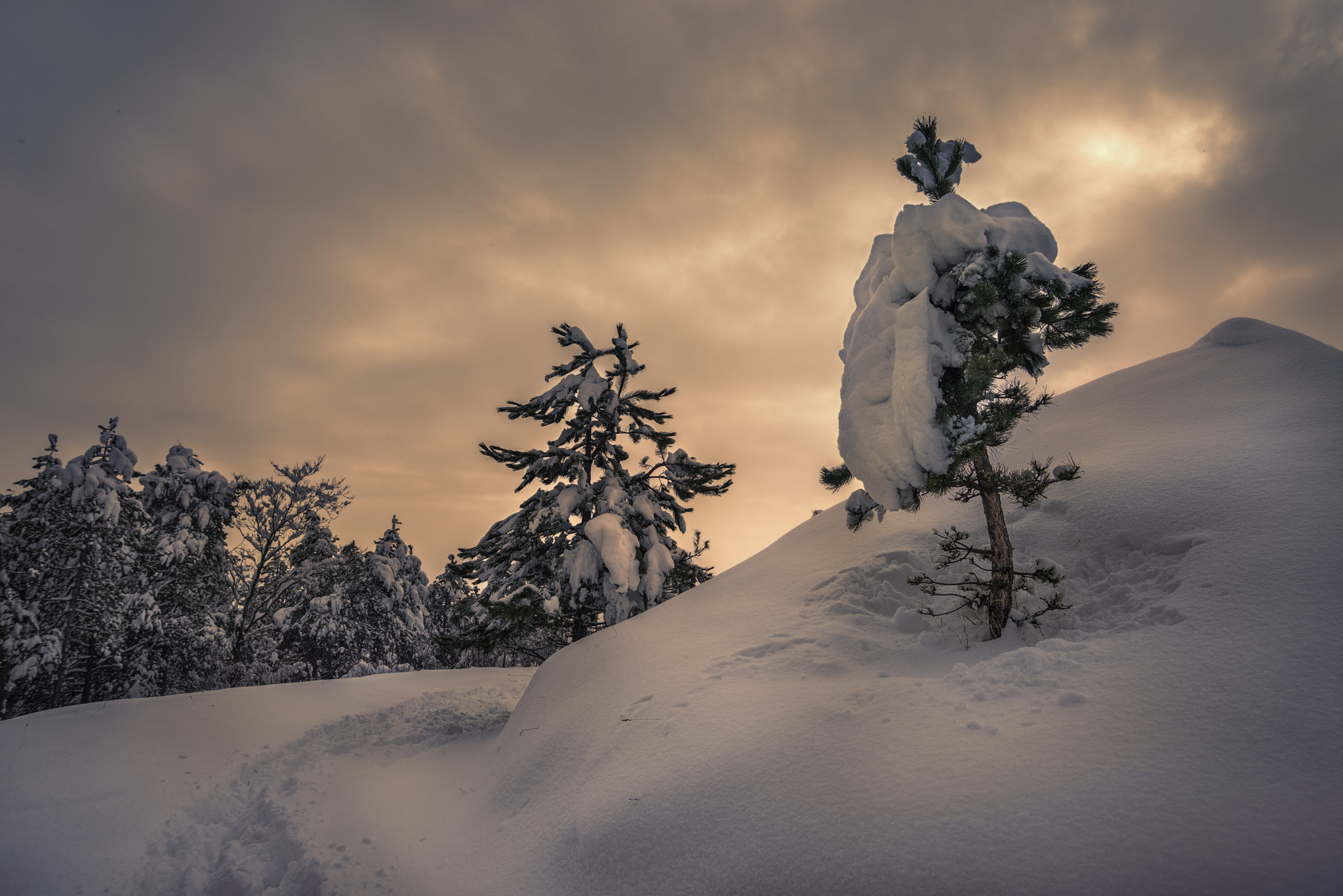 Pentax K-1 sample photo. Golden winter photography