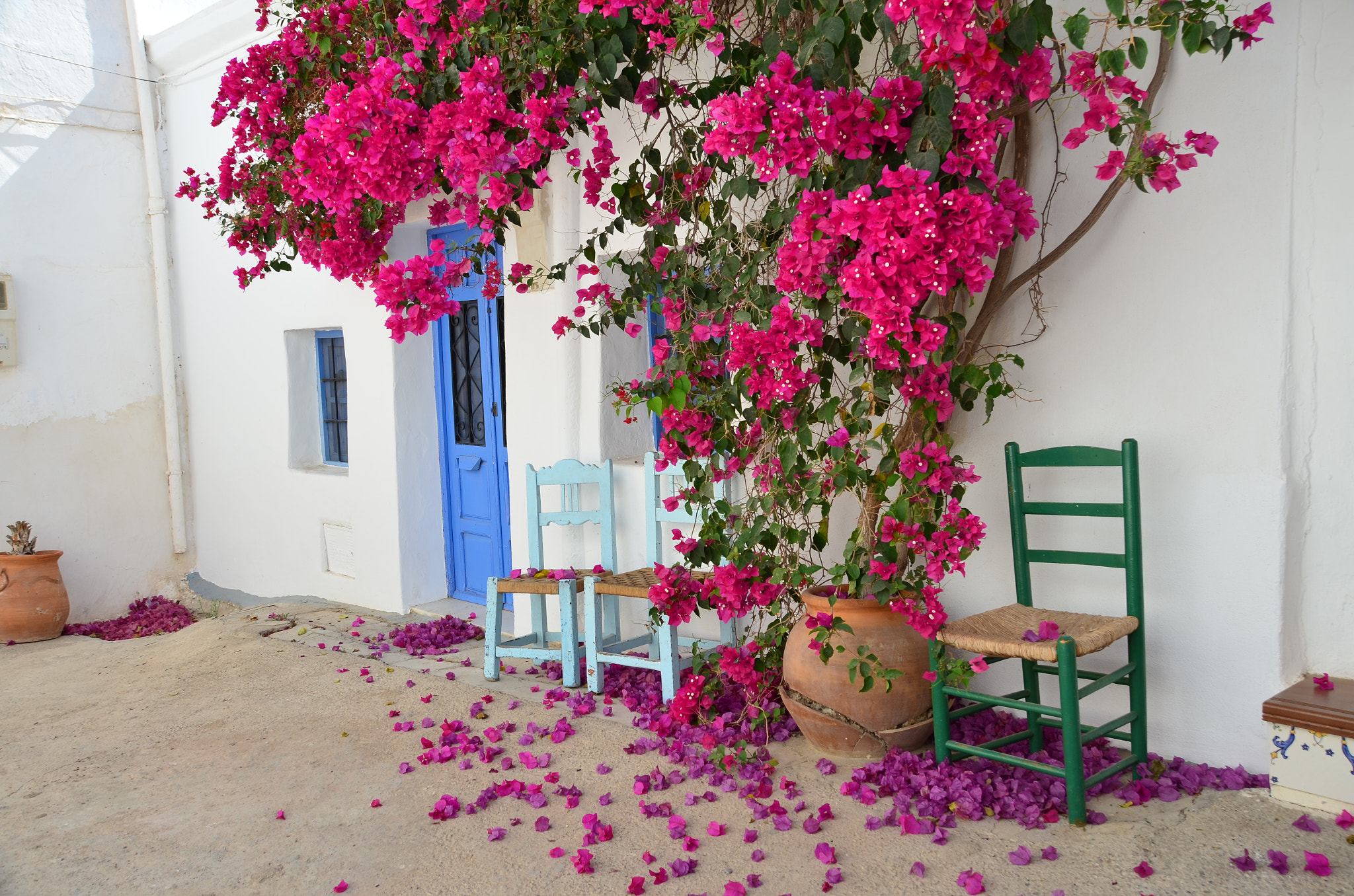 Sigma 18-200mm F3.5-6.3 II DC OS HSM sample photo. Patio andaluz photography