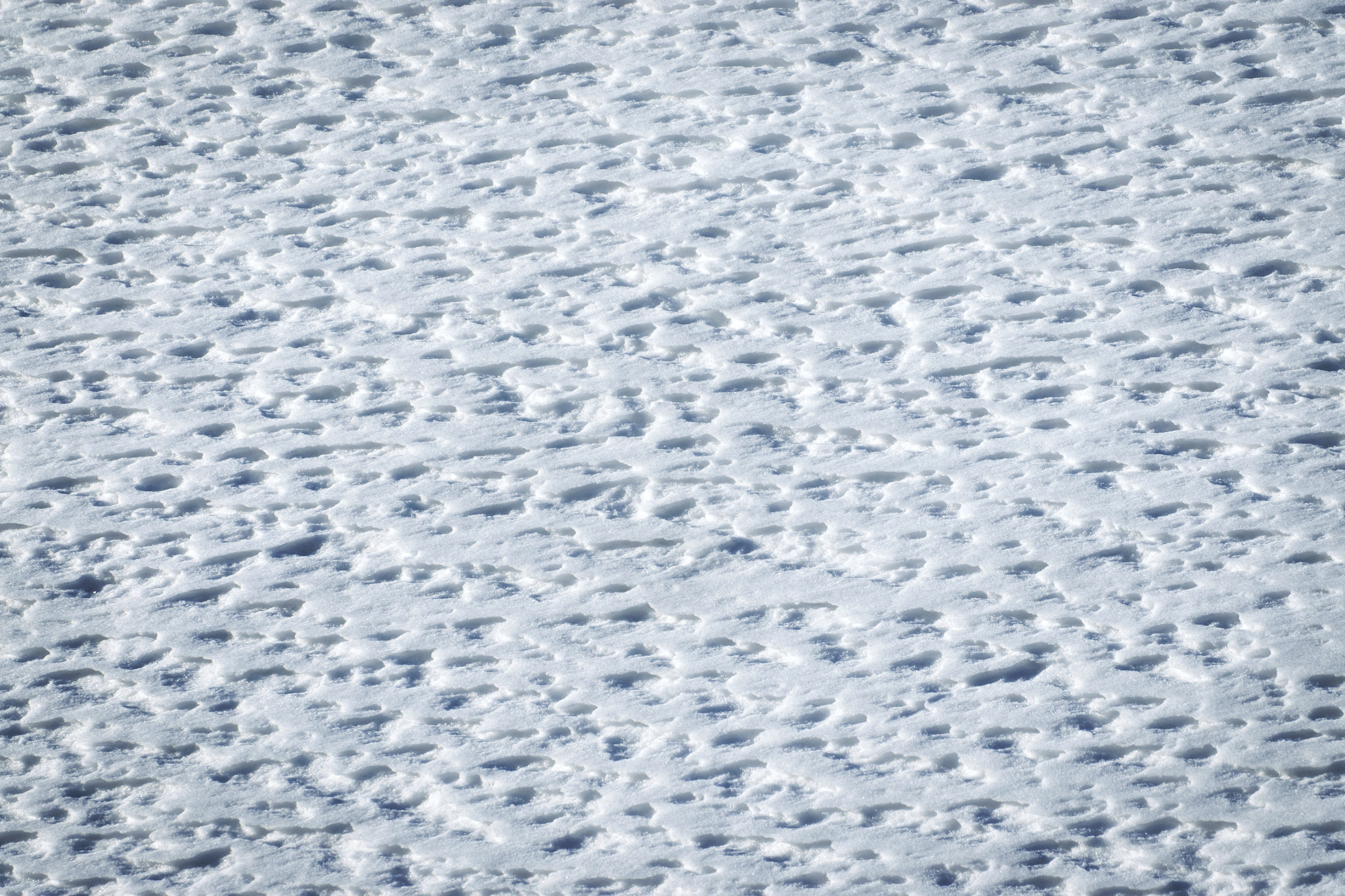 Nikon D5500 sample photo. Warm by wind pleated snow photography