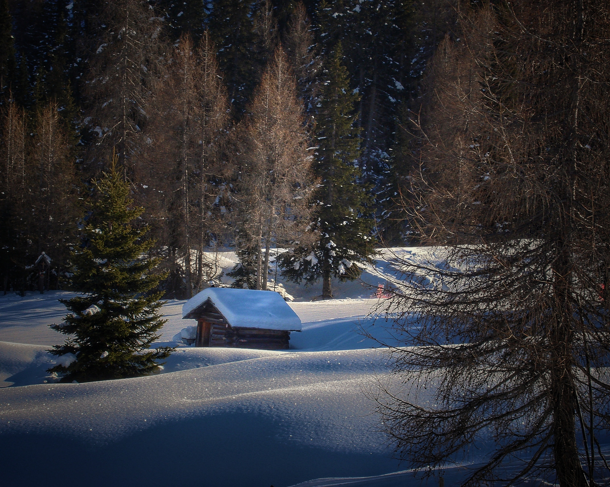 Sony DSC-N2 sample photo. Winter details - the tree and the little house photography