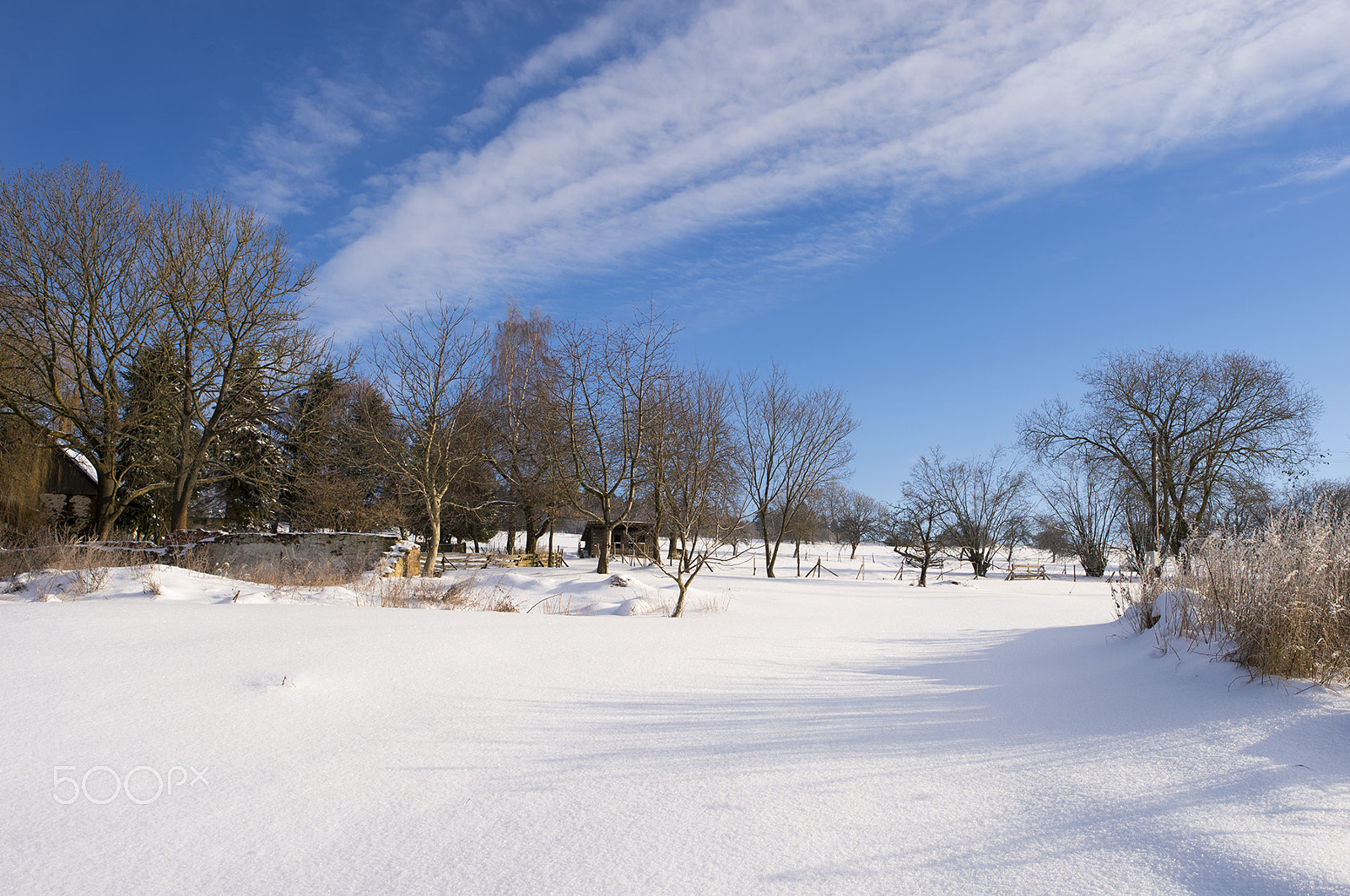 Nikon Df + Nikon AF-S Nikkor 24mm F1.8G ED sample photo. Dsc photography