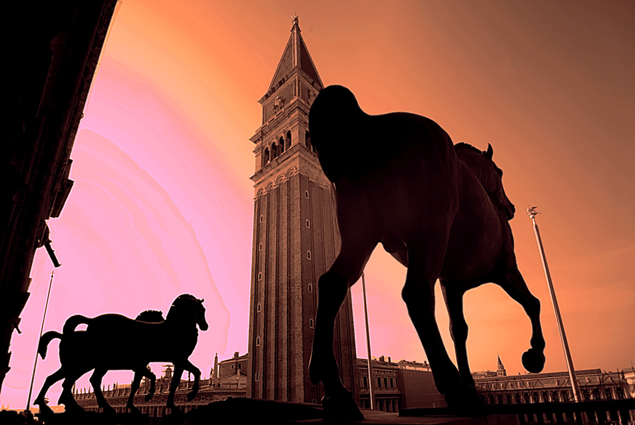Nikon D80 sample photo. Horses photography