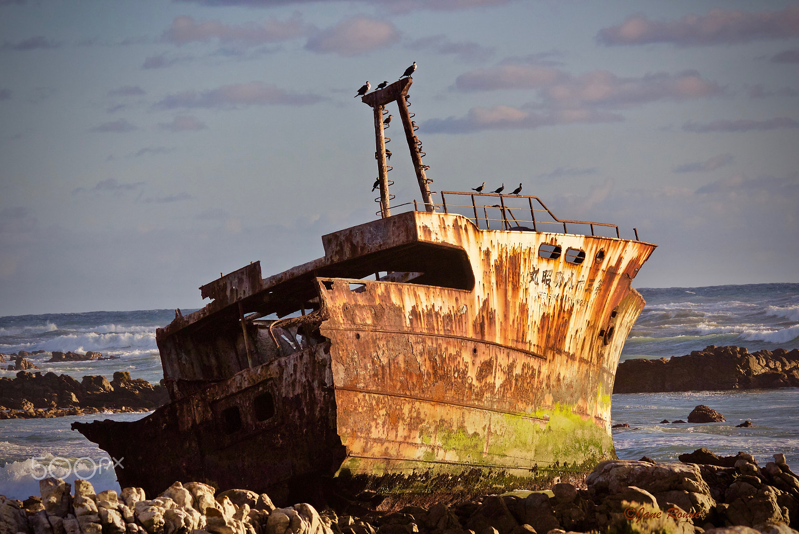 Canon EOS 60D + Sigma 150-500mm F5-6.3 DG OS HSM sample photo. Struisbaai shipwreck photography