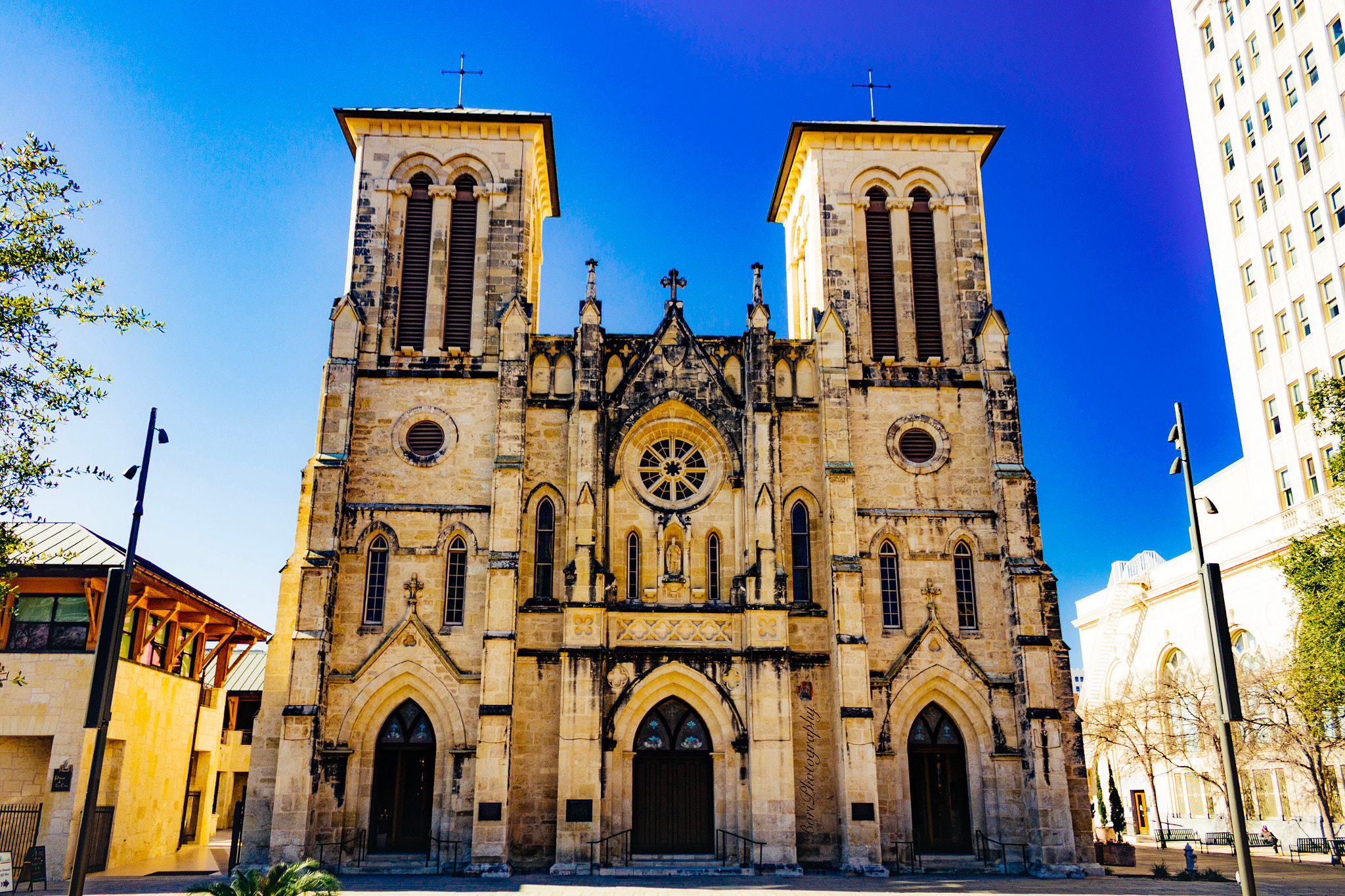 Canon EF-S 18-55mm F3.5-5.6 IS sample photo. Cathedral of san fernando photography