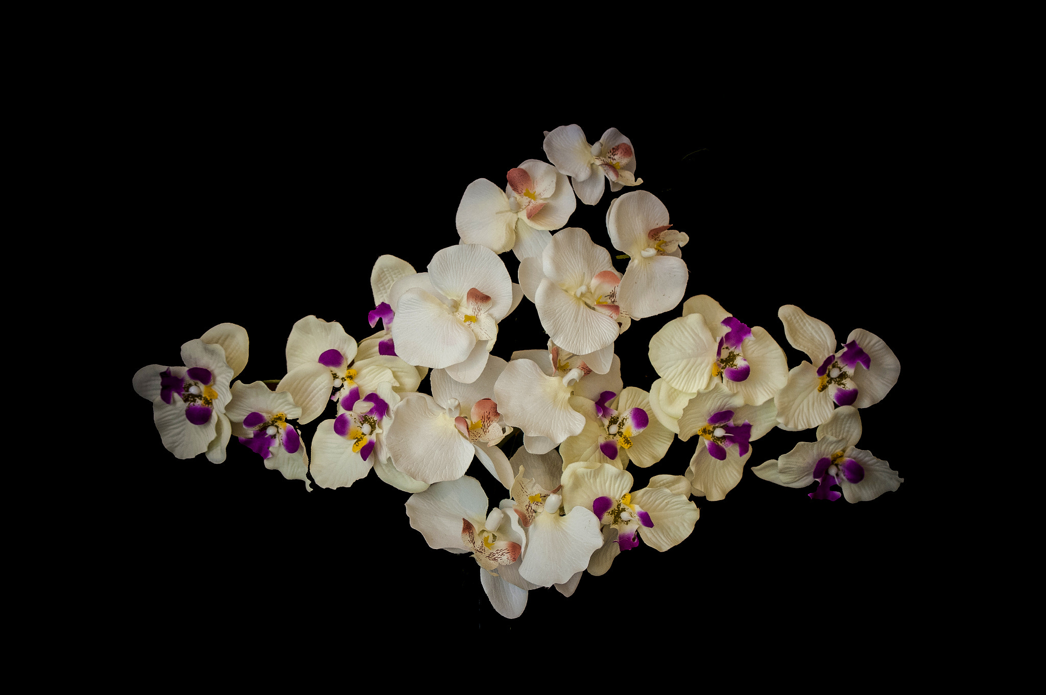 Nikon AF-S Nikkor 70-200mm F2.8G ED VR II sample photo. Orquideas grupo photography