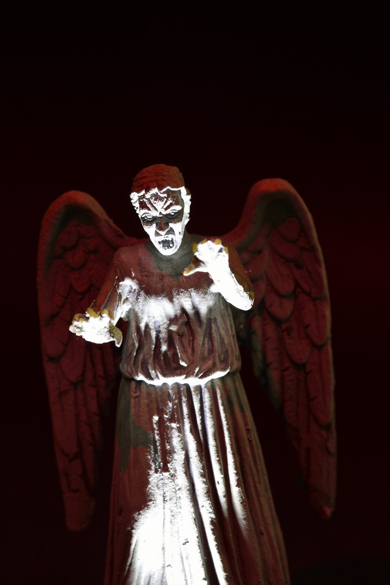 Nikon AF-S Micro-Nikkor 60mm F2.8G ED sample photo. Weeping angel photography