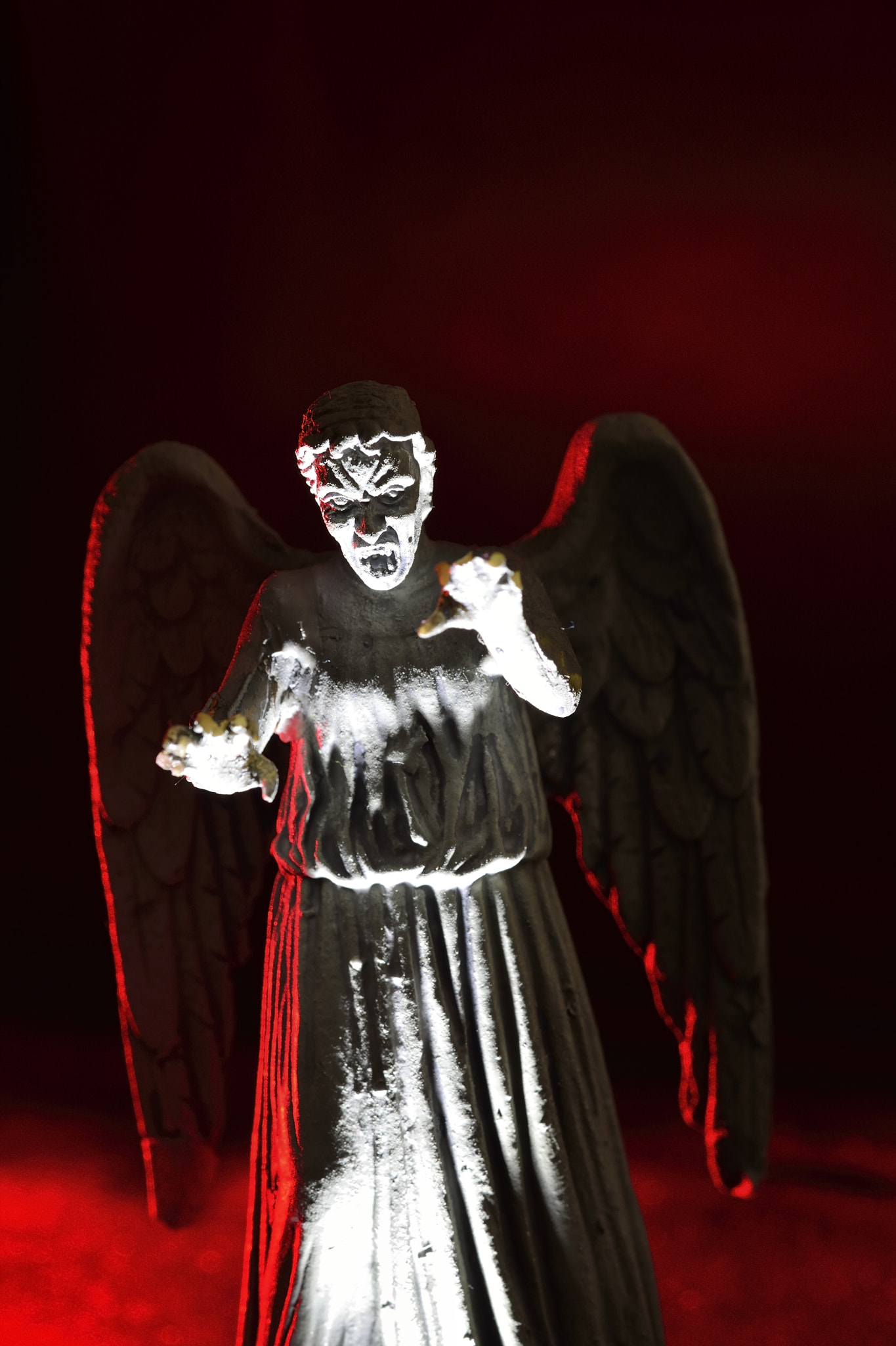 Nikon AF-S Micro-Nikkor 60mm F2.8G ED sample photo. Weeping angel photography