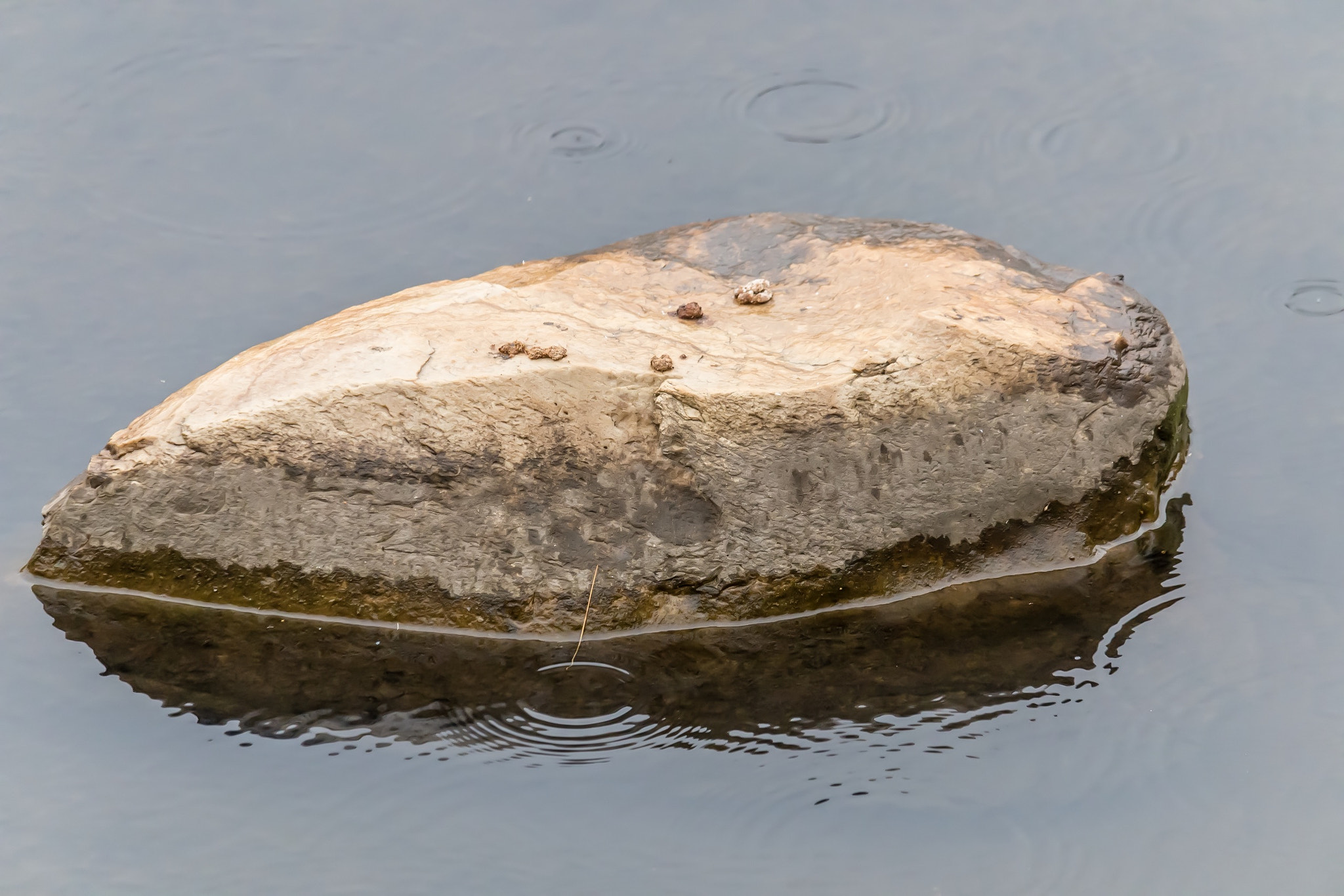 Canon EF-S 55-250mm F4-5.6 IS STM sample photo. The rock photography