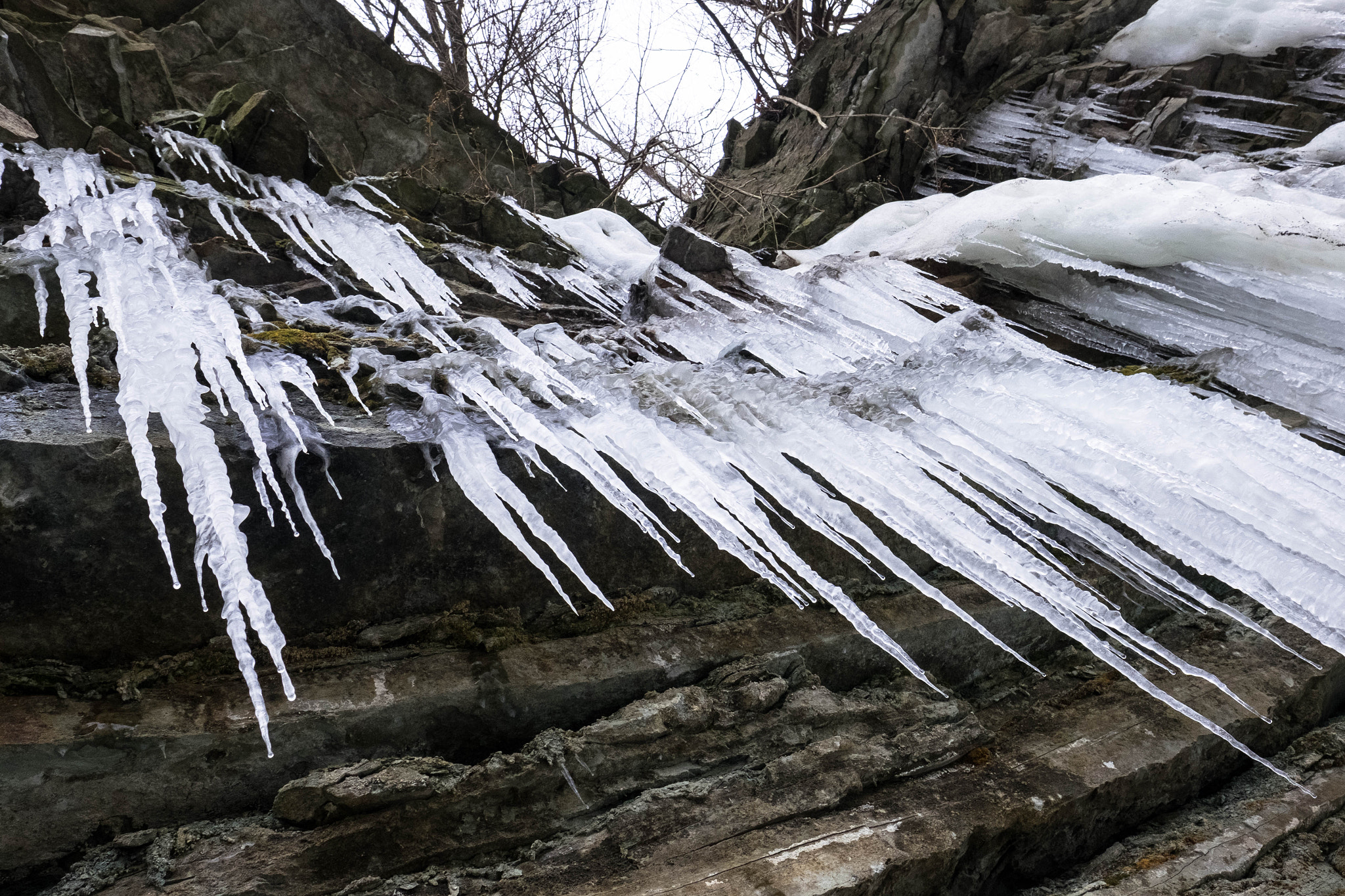 Fujifilm X-T10 + Fujifilm XF 16mm F1.4 R WR sample photo. Icicle's photography