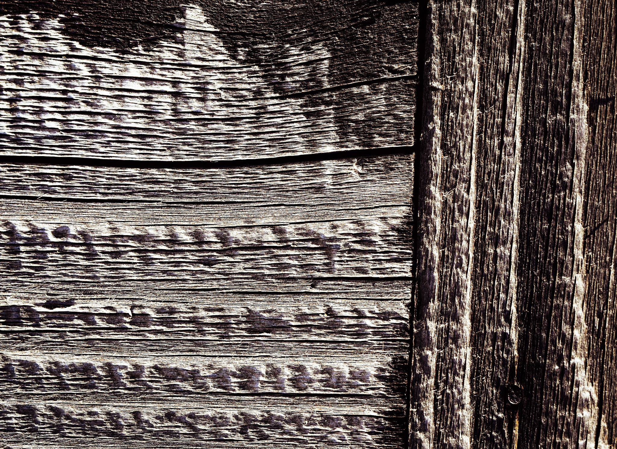 Nikon D5500 sample photo. Detail the structure of the old wood photography