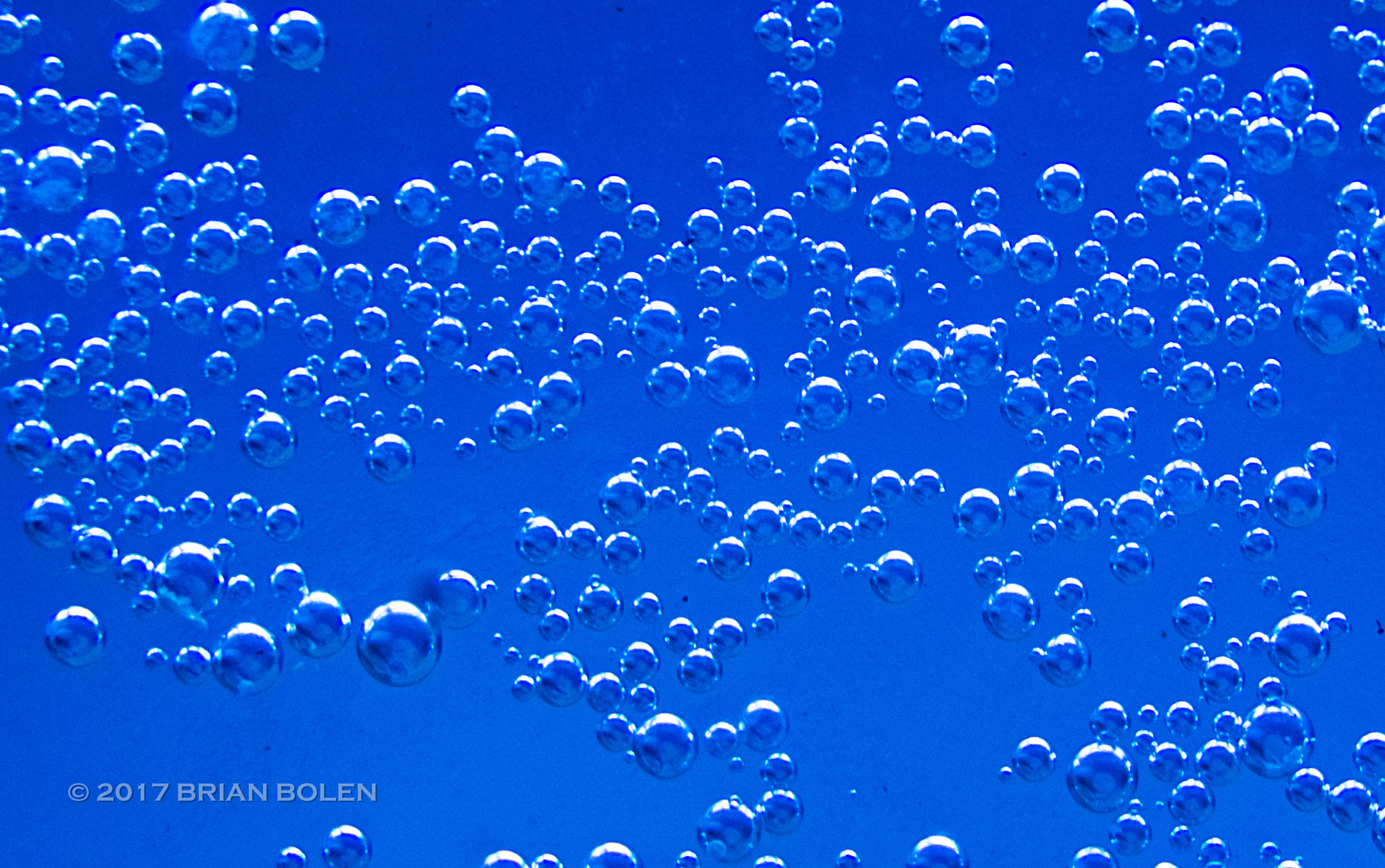Sony SLT-A37 sample photo. Bubbles on aquarium glass photography
