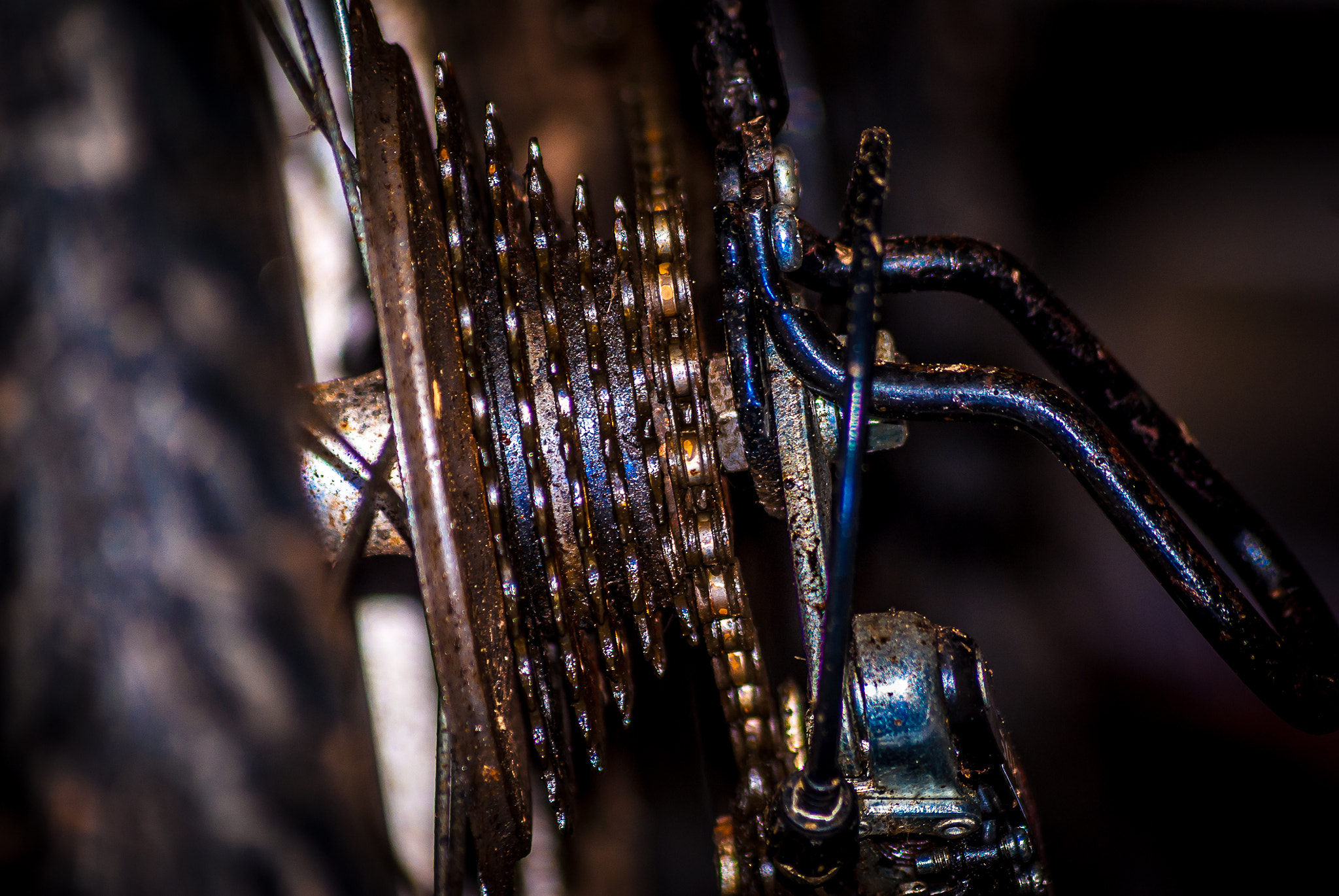Sony 75-300mm F4.5-5.6 sample photo. Macro gears photography
