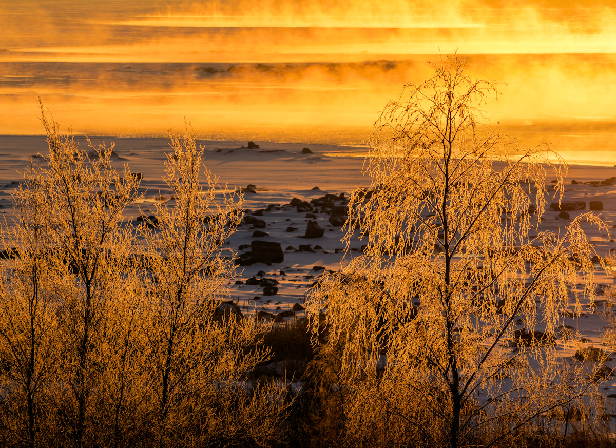 Canon EOS 7D + Canon EF 70-300 F4-5.6 IS II USM sample photo. Sunrise at -20c photography
