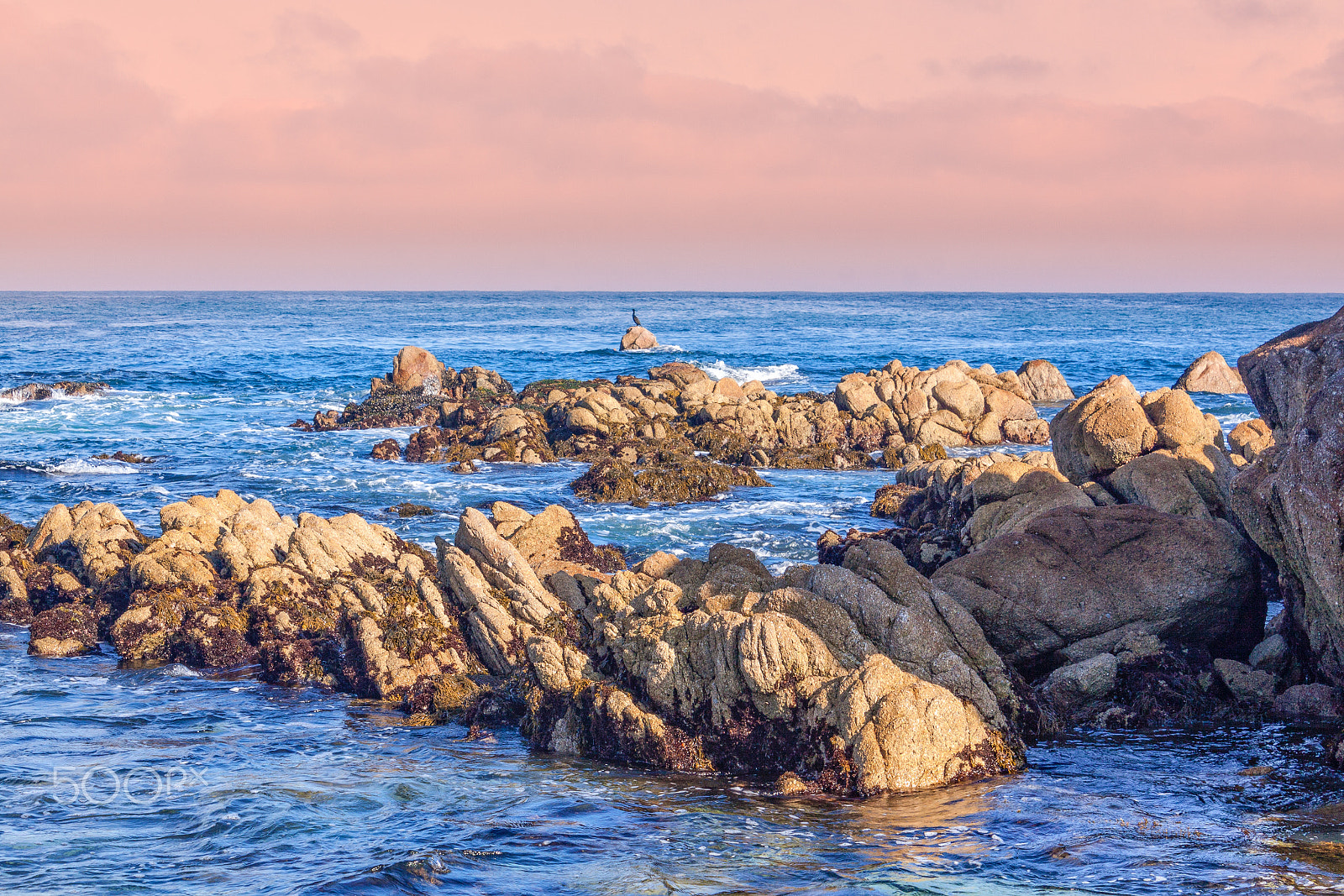 Canon EF-S 18-55mm F3.5-5.6 IS sample photo. California coast photography