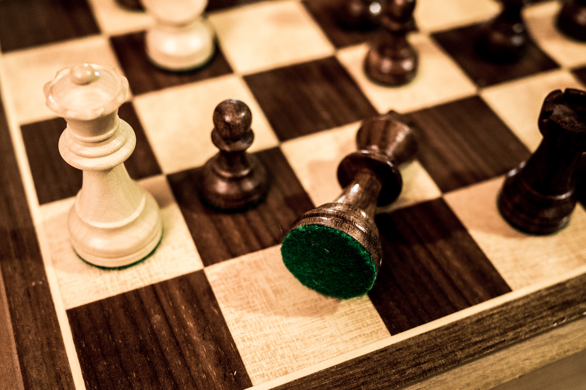 LUMIX G 20/F1.7 II sample photo. Check mate photography