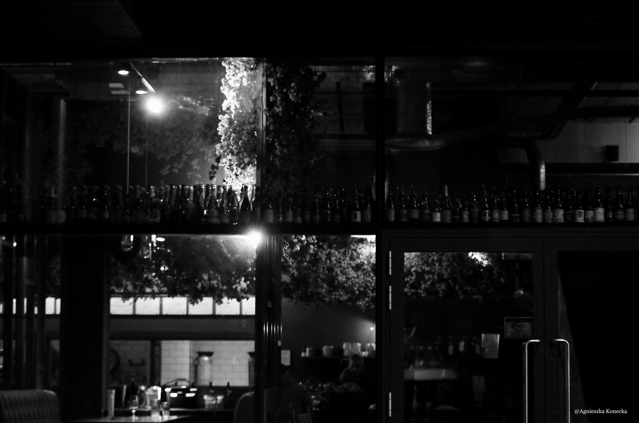 HD Pentax DA 55-300mm F4.0-5.8 ED WR sample photo. Restaurant photography