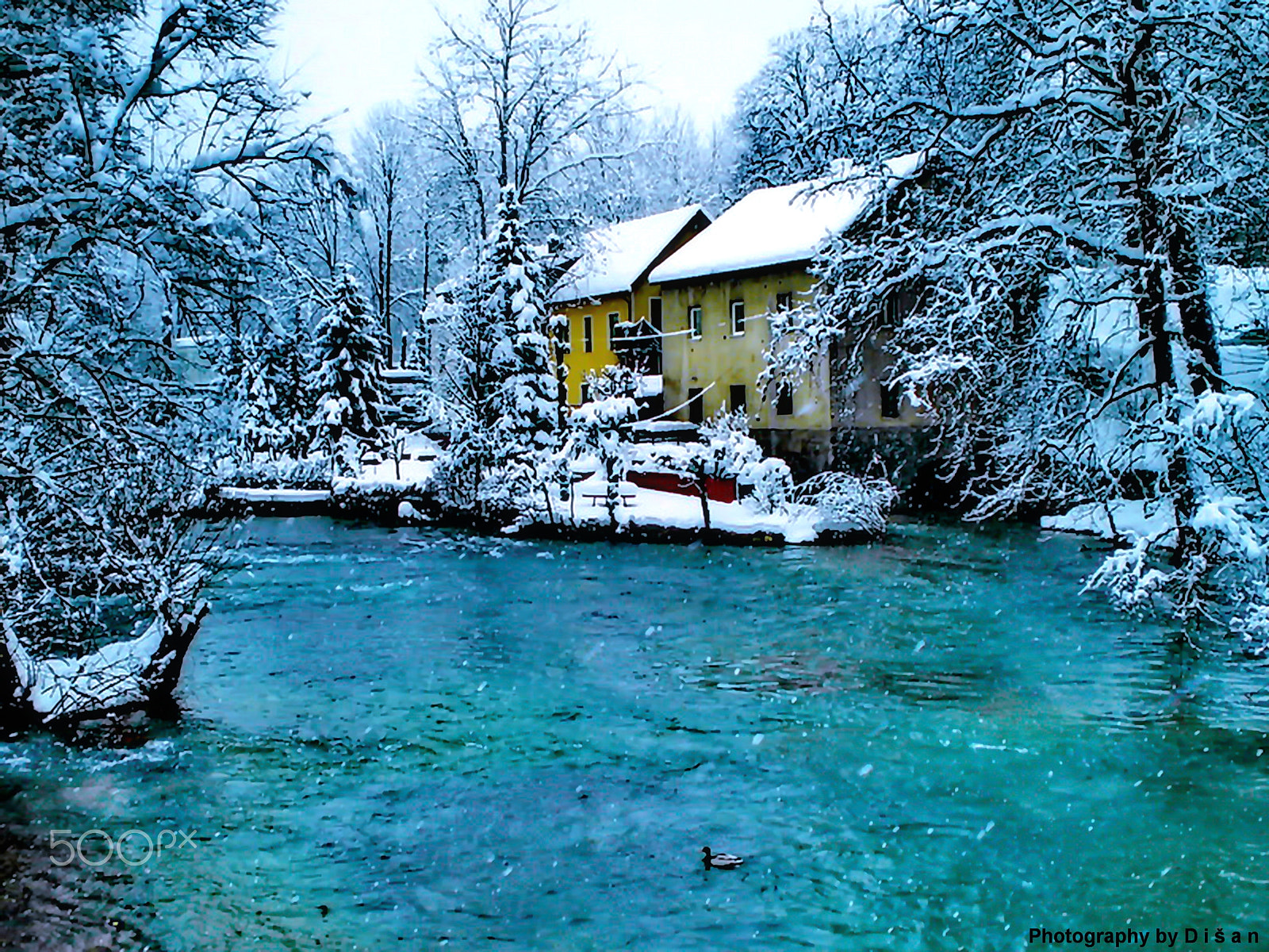 Olympus FE210,X775 sample photo. Winter,winter......una photography