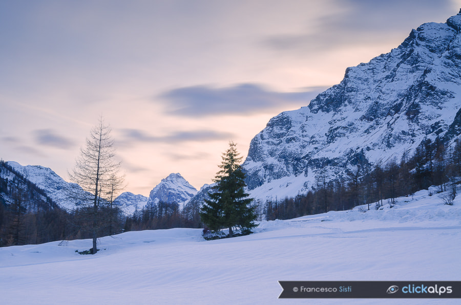 Nikon AF-S Nikkor 16-35mm F4G ED VR sample photo. Evening time (rhêmes valley) photography