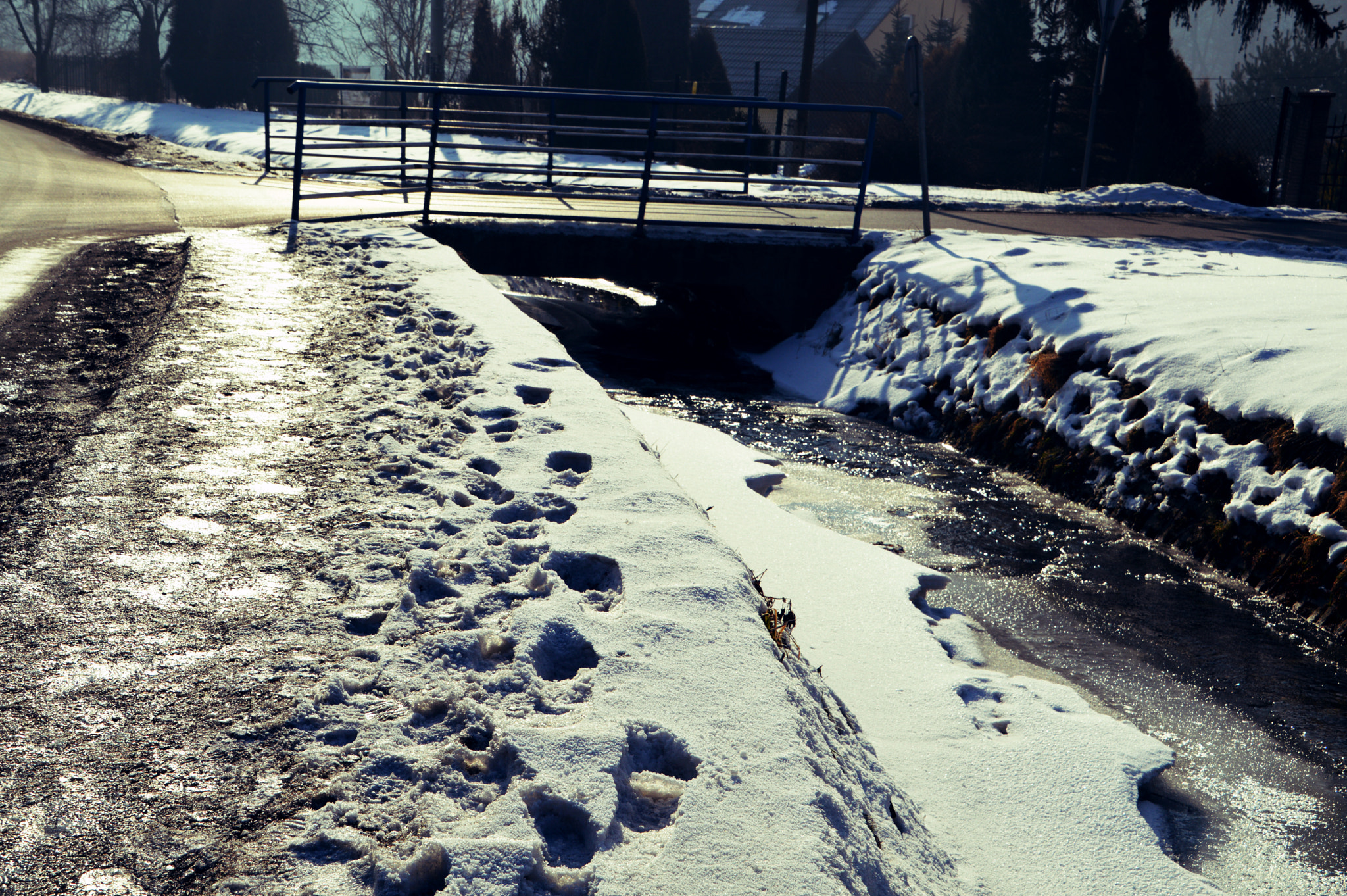 Nikon D3200 sample photo. Harsh winter... photography