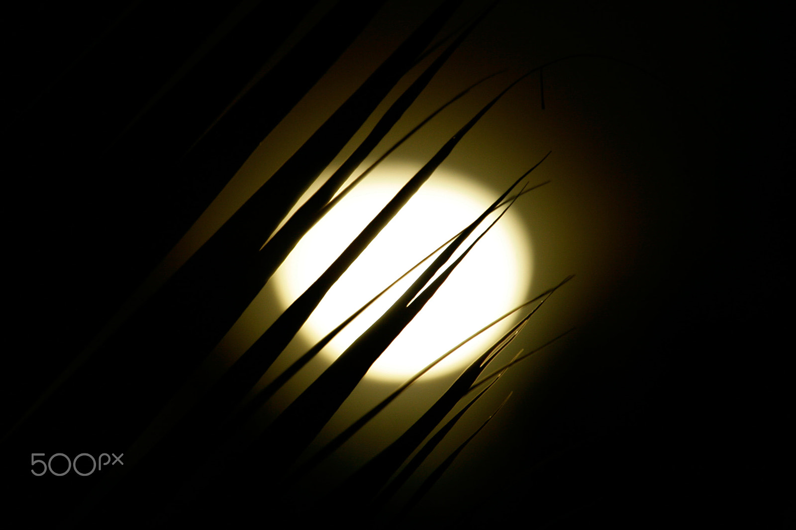 Canon EF 100-400mm F4.5-5.6L IS USM sample photo. Pacific_moon.jpg photography