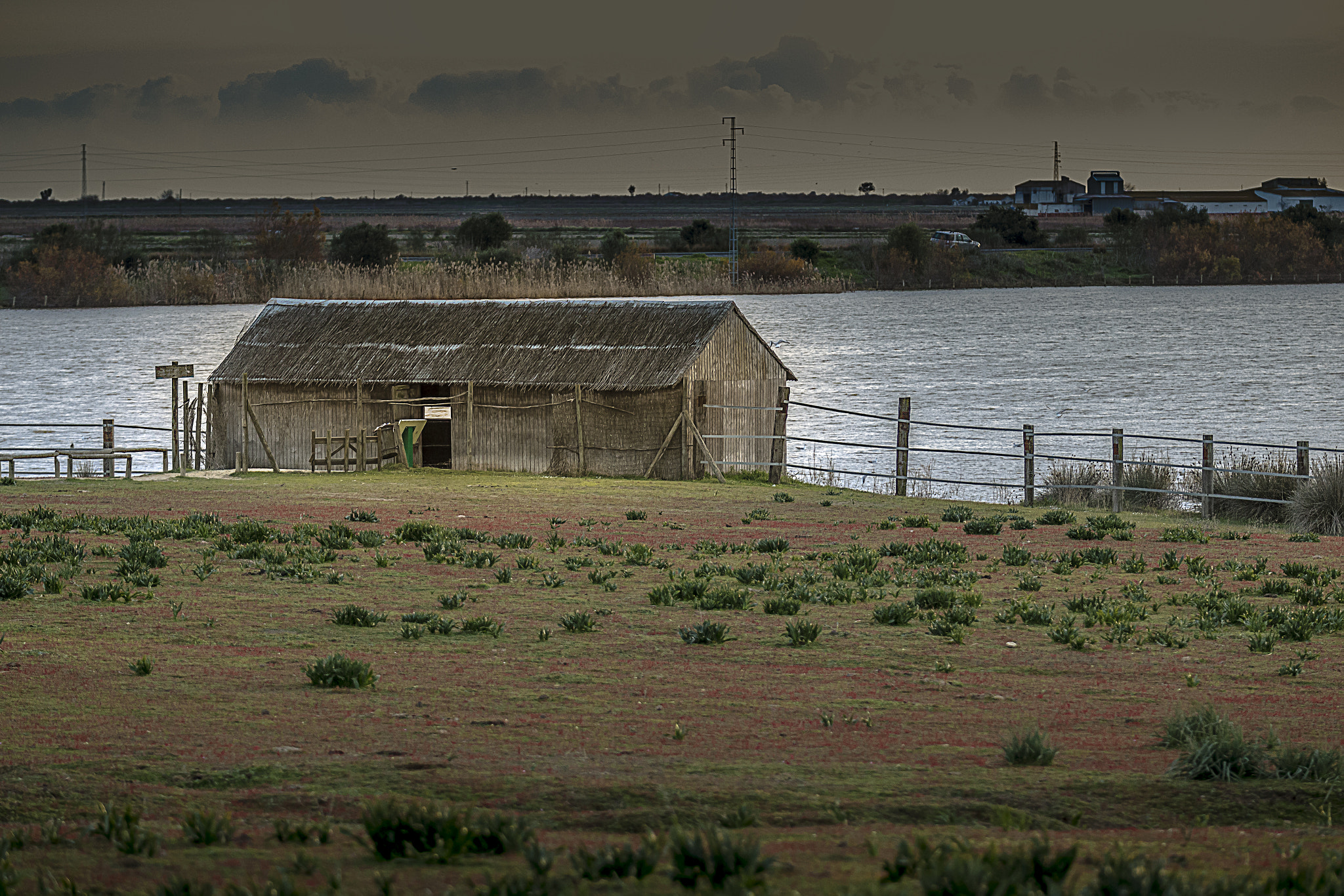 Canon EF 70-200mm F2.8L IS II USM sample photo. Dehesa de abajo copia photography