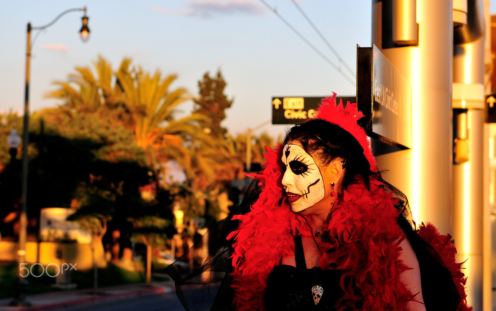 Nikon D300S sample photo. Dia de los muertos photography
